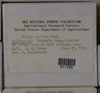 Image Associated With the Occurence